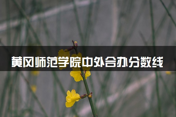 黄冈师范学院中外合办分数线 2025多少分能录取