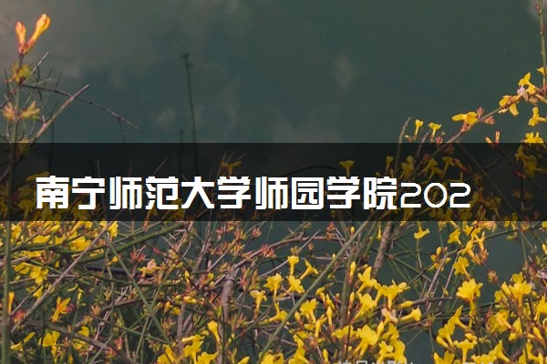 南宁师范大学师园学院2024年各省录取分数线 多少分能考上
