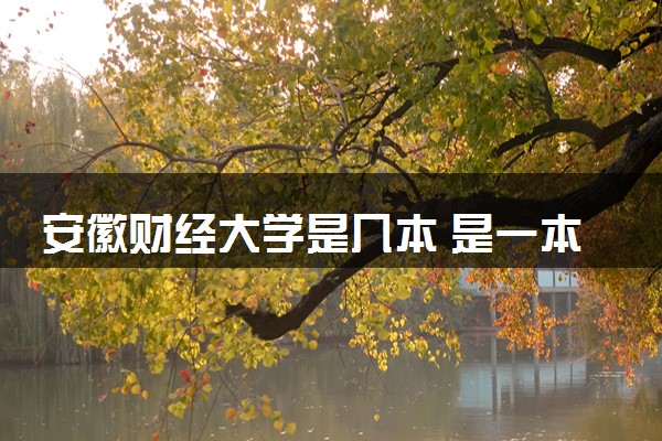 安徽财经大学是几本 是一本还是二本大学