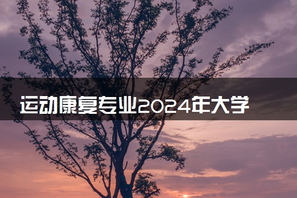 运动康复专业2024年大学排名 最好的大学排行榜