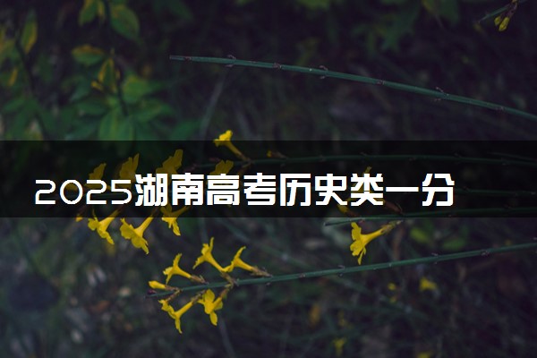 2025湖南高考历史类一分一段表 排名位次查询
