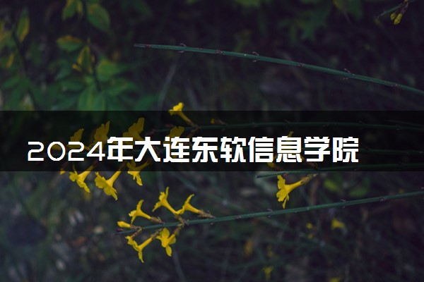 2024年大连东软信息学院录取分数线是多少 各省最低分数线及位次