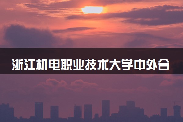 浙江机电职业技术大学中外合办分数线（2025参考）