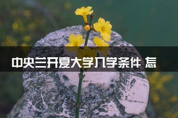 中央兰开夏大学入学条件 怎么考进去
