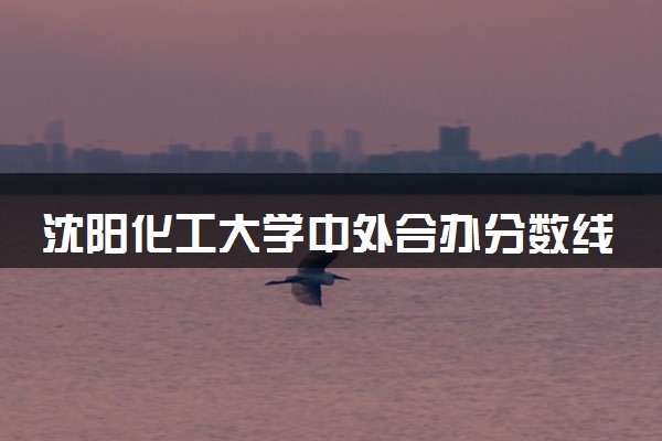 沈阳化工大学中外合办分数线 2025多少分能录取