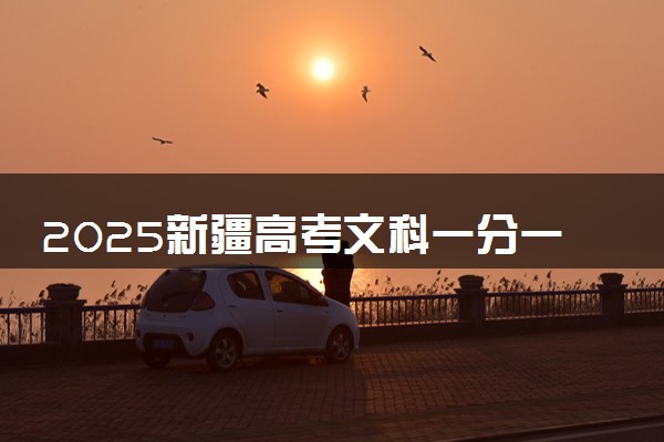 2025新疆高考文科一分一段表 排名位次查询