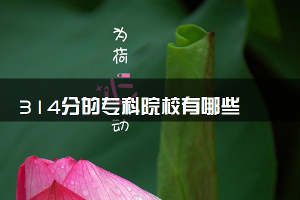 314分的专科院校有哪些 如何选择学校