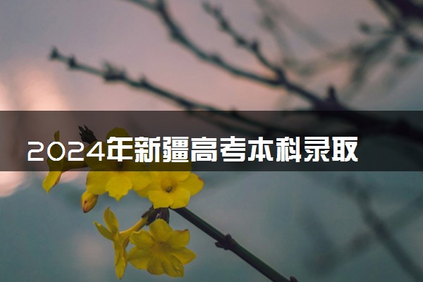 2024年新疆高考本科录取率及录取人数 上线率高吗