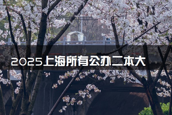 2025上海所有公办二本大学排名 都有哪些二本院校