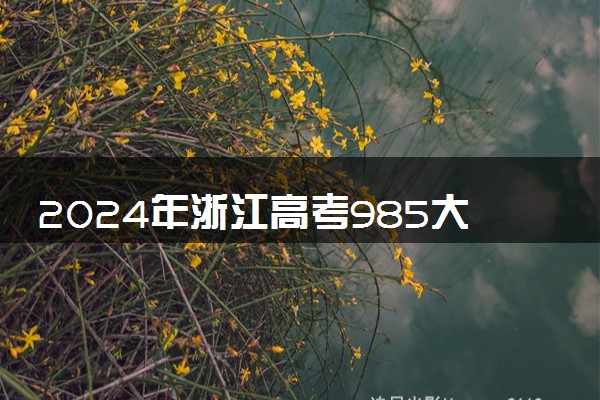 2024年浙江高考985大学录取率及录取人数是多少