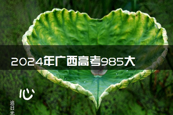 2024年广西高考985大学录取率及录取人数是多少