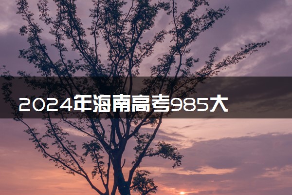 2024年海南高考985大学录取率及录取人数是多少
