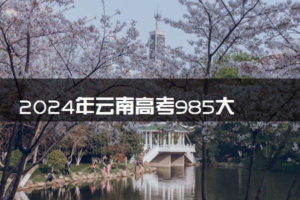 2024年云南高考985大学录取率及录取人数是多少