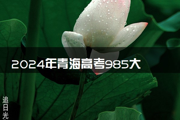 2024年青海高考985大学录取率及录取人数是多少