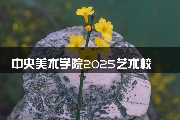 中央美术学院2025艺术校考成绩查询时间及入口 几号公布成绩