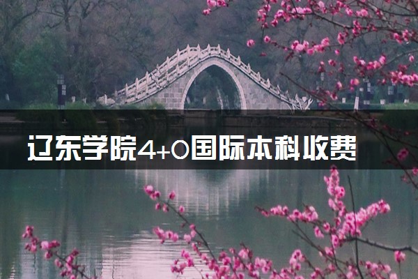 辽东学院4+0国际本科收费标准 学费多少钱
