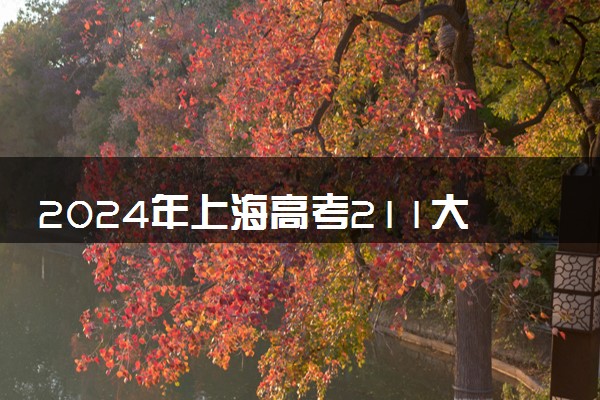 2024年上海高考211大学录取率及录取人数是多少