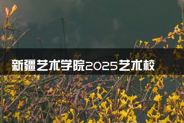 新疆艺术学院2025艺术校考成绩查询时间及入口 几号公布成绩