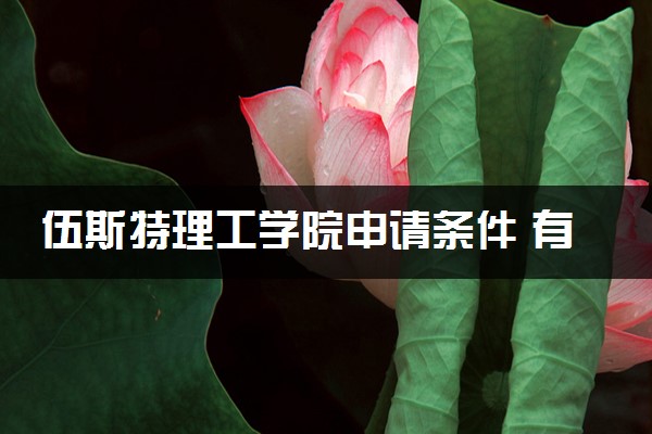 伍斯特理工学院申请条件 有哪些要求