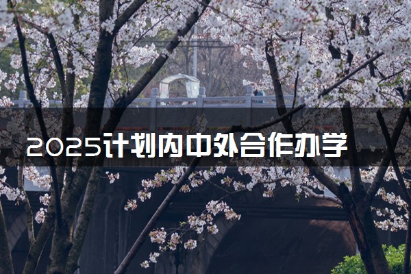 2025计划内中外合作办学学校有哪些 最全名单汇总