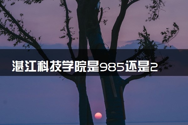 湛江科技学院是985还是211 含金量怎么样