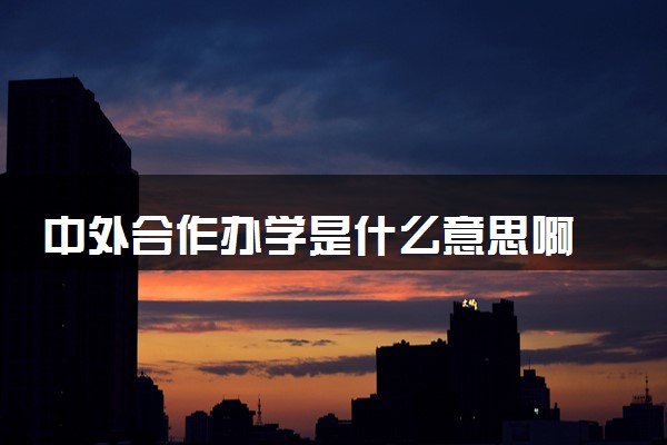 中外合作办学是什么意思啊 是要去国外吗