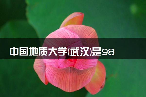 中国地质大学(武汉)是985还是211 含金量怎么样