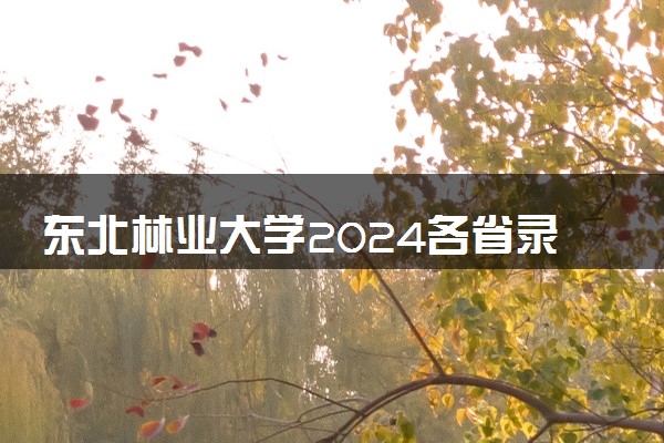 东北林业大学2024各省录取分数线及最低位次是多少