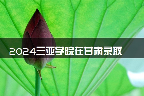 2024三亚学院在甘肃录取分数线 各专业分数及位次