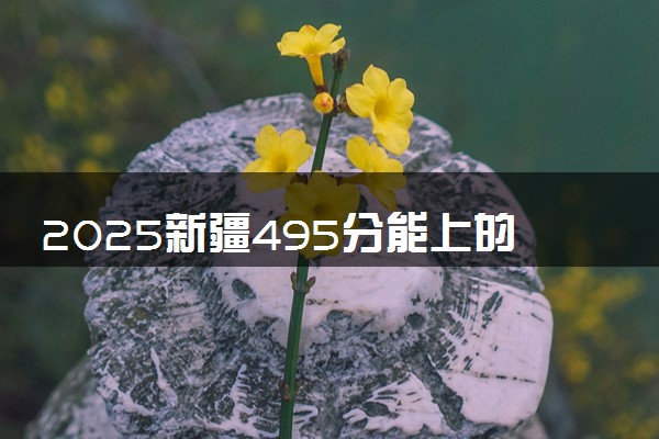 2025新疆495分能上的大学有哪些 可以报考院校名单