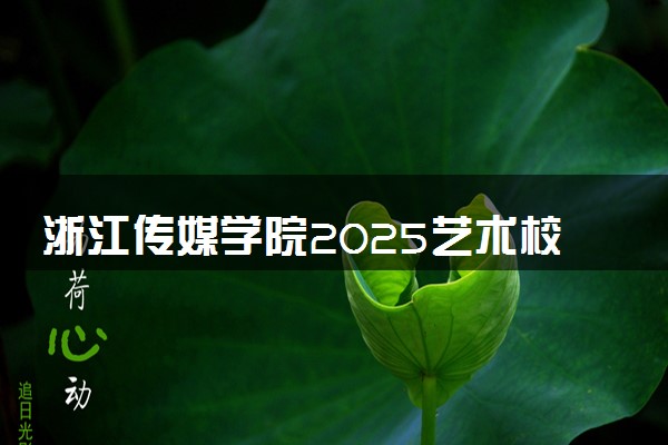 浙江传媒学院2025艺术校考成绩查询时间及入口 几号公布成绩