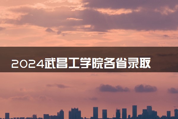 2024武昌工学院各省录取分数线是多少 最低分及位次