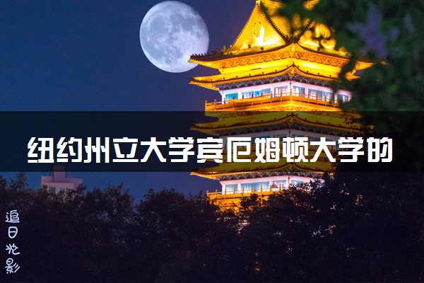 纽约州立大学宾厄姆顿大学的学费贵吗 一年大概多少钱