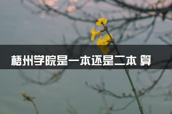 梧州学院是一本还是二本 算好大学吗