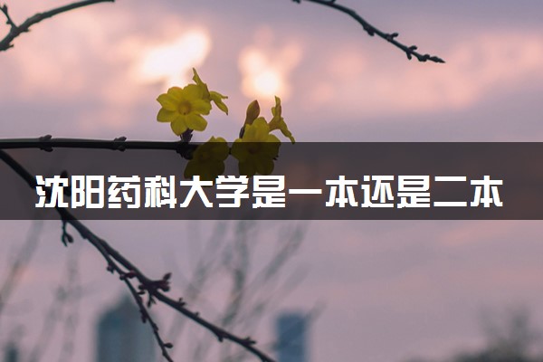 沈阳药科大学是一本还是二本 算好大学吗
