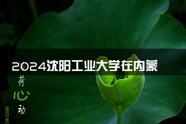 2024沈阳工业大学在内蒙古录取分数线 各专业分数及位次