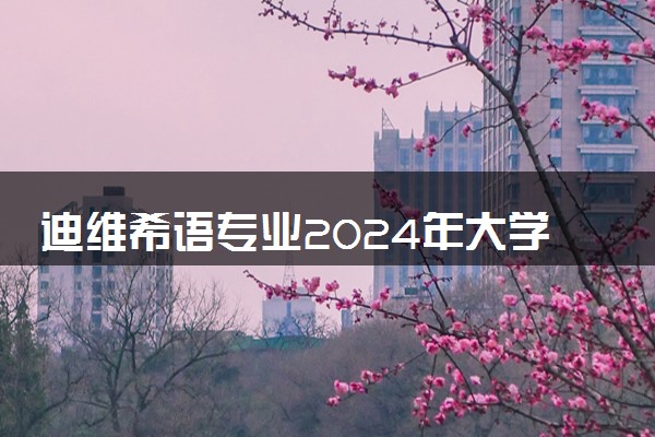 迪维希语专业2024年大学排名 最好的大学排行榜