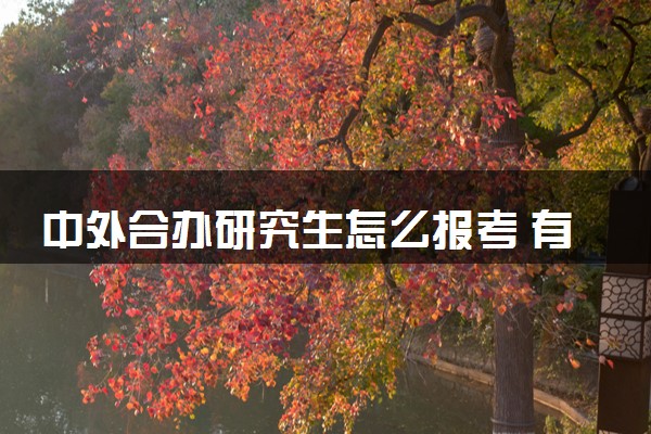 中外合办研究生怎么报考 有哪些流程