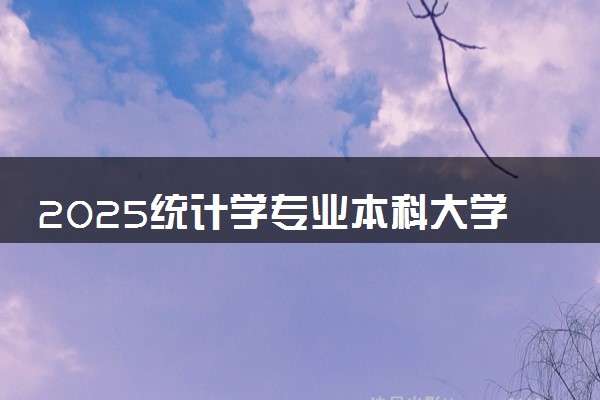2025统计学专业本科大学排名 历年录取分数线汇总