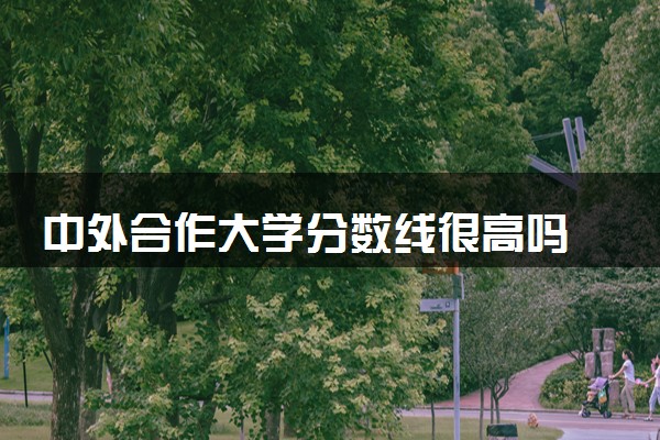 中外合作大学分数线很高吗 一般多少分录取