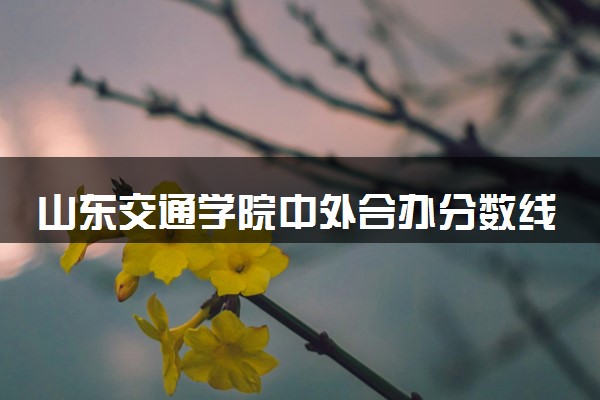 山东交通学院中外合办分数线 2025多少分能录取