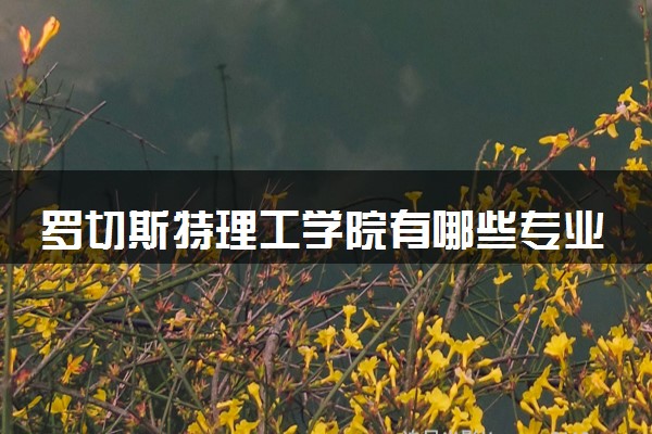 罗切斯特理工学院有哪些专业 读完好找工作吗