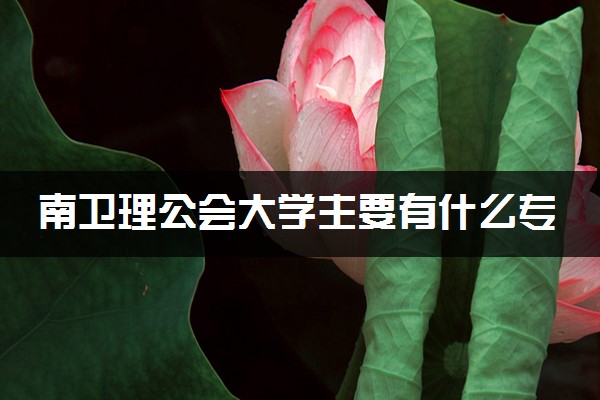 南卫理公会大学主要有什么专业 哪些受欢迎