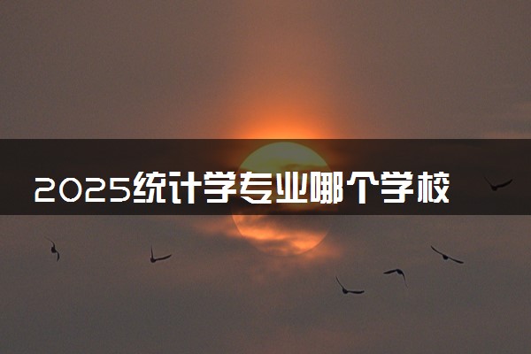 2025统计学专业哪个学校最好 全国排名前10强