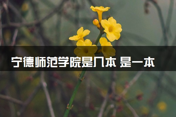 宁德师范学院是几本 是一本还是二本大学