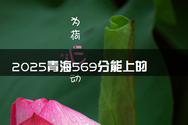 2025青海569分能上的大学有哪些 可以报考院校名单