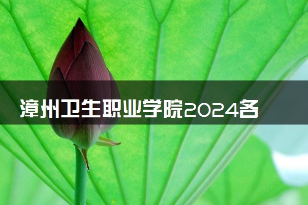 漳州卫生职业学院2024各省录取分数线及最低位次是多少