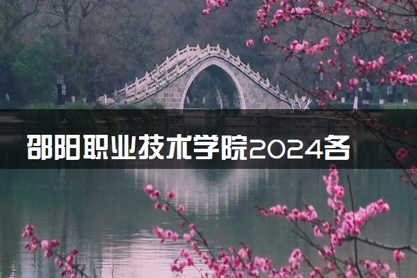 邵阳职业技术学院2024各省录取分数线及最低位次是多少