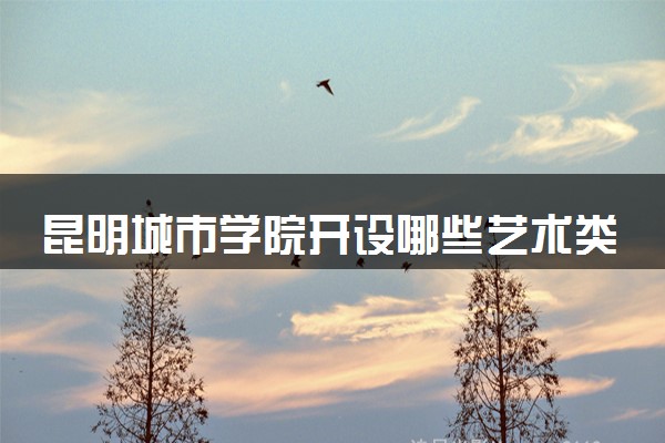 昆明城市学院开设哪些艺术类专业 什么专业前景好