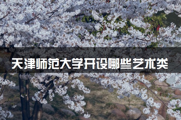 天津师范大学开设哪些艺术类专业 什么专业前景好